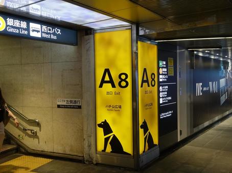 Hachiko Exit sign inside Shibuya Station