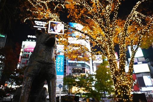 Night view around Hachiko statue and Shibuya area