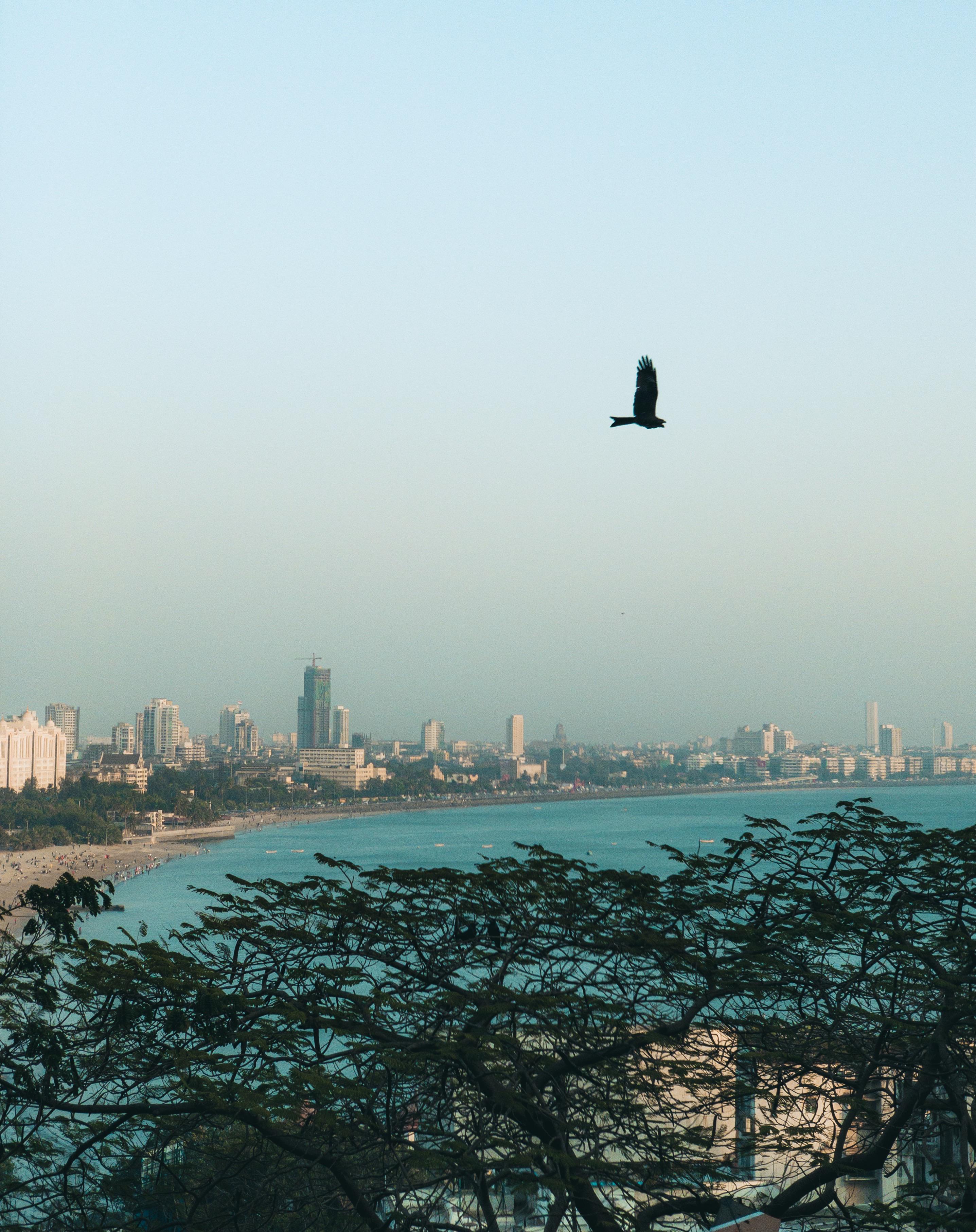 View toward Marine Drive from Malabar Hill area