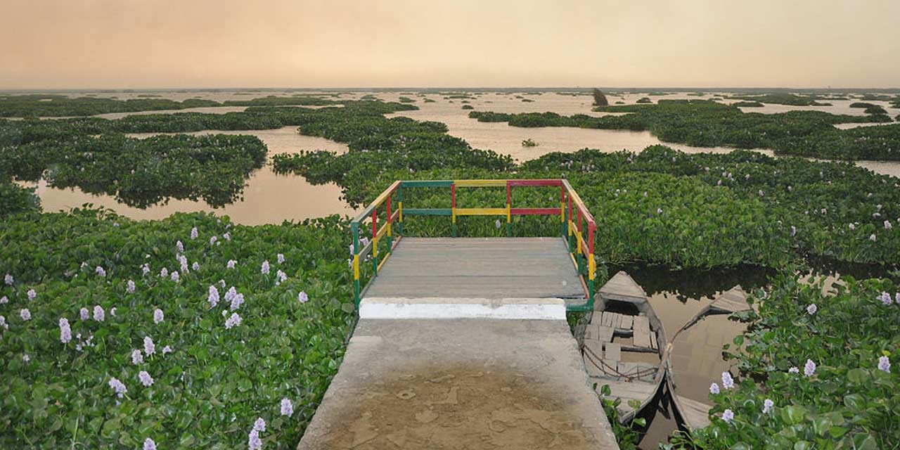 Watchtower at Harike Bird Sanctuary