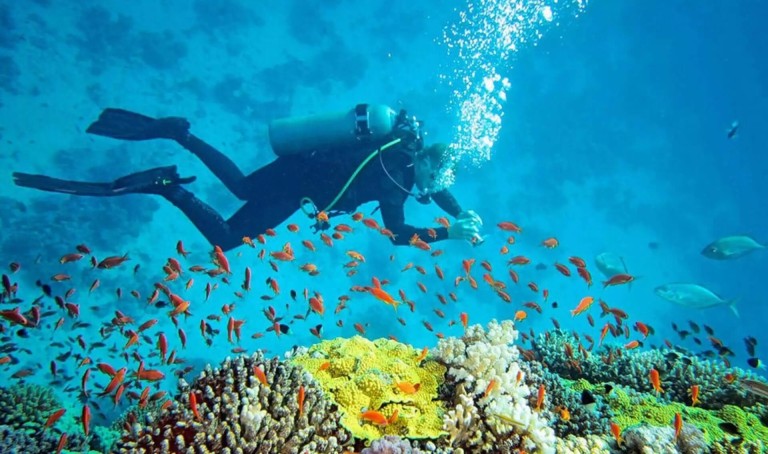 Scuba diver exploring coral reef with tropical fish