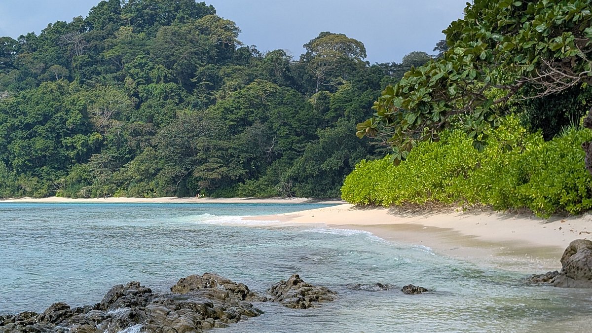 Peaceful Vijaynagar Beach with casuarina trees and calm waters