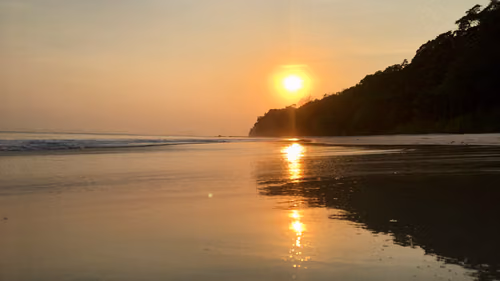 Palm-lined sunset scene at Havelock Island Beach