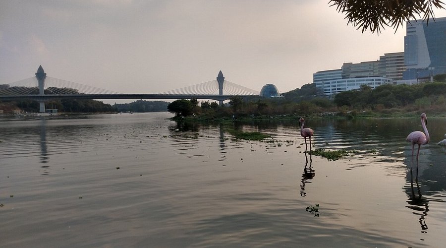 Durgam Cheruvu lake view in Hyderabad