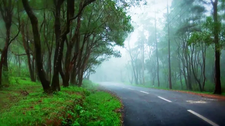 Ponmudi winding road Kerala hill station