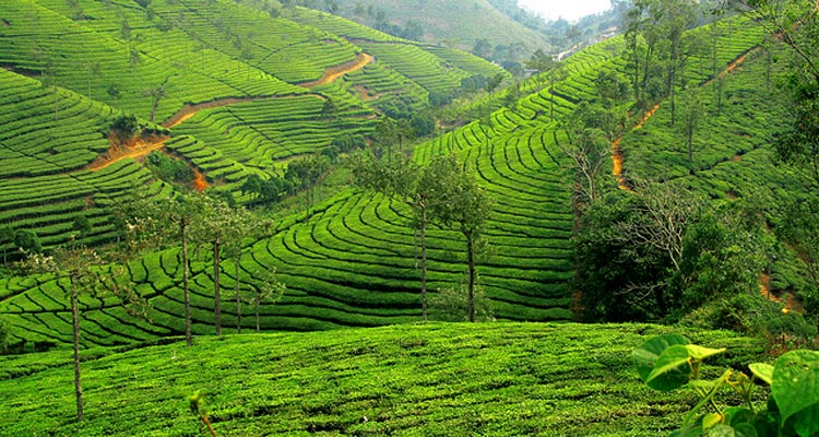 Hill stations 100-200 km from Erode