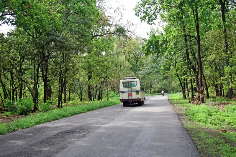 Forest road section through Himalayan foothills