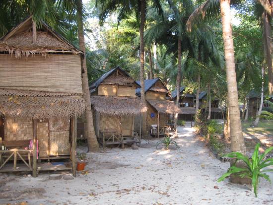 Beachside homestay cottage on Havelock Island with palm trees