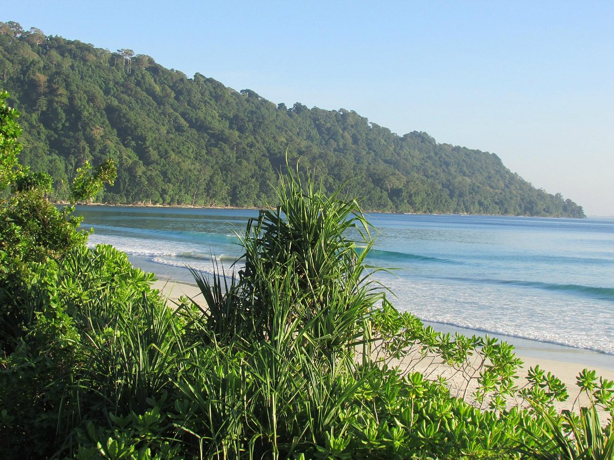 Stunning Radhanagar Beach on Havelock Island at sunset