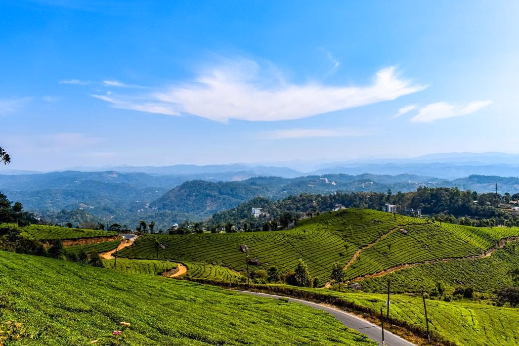 Honeymoon Places India in March: Top 15 Romantic