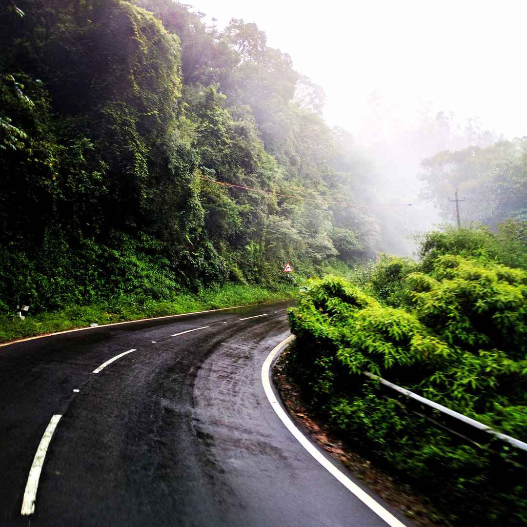 Lush green Coorg during monsoon season
