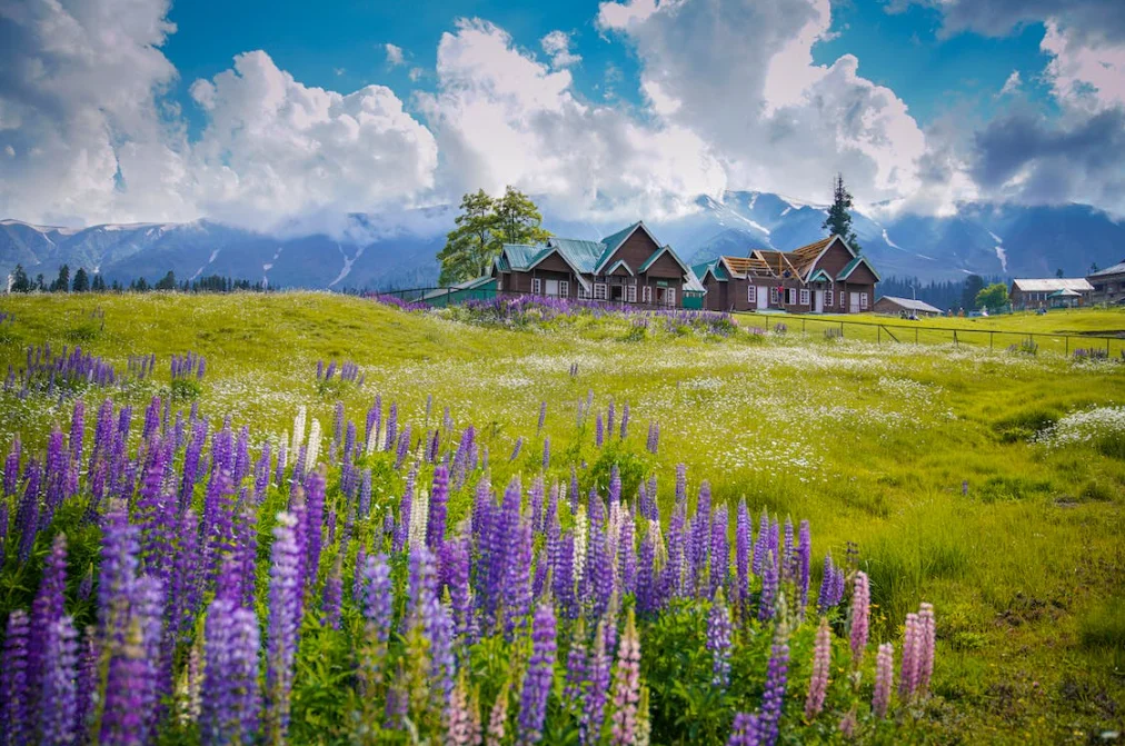 How to Reach Gulmarg from Srinagar: Route, Cost & Travel Time