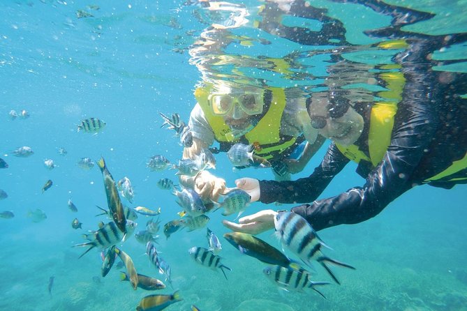 Perhentian Islands Snorkeling Malaysia