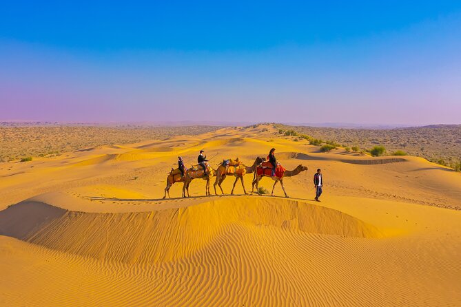 Camel safari at sunset in Jaisalmer desert