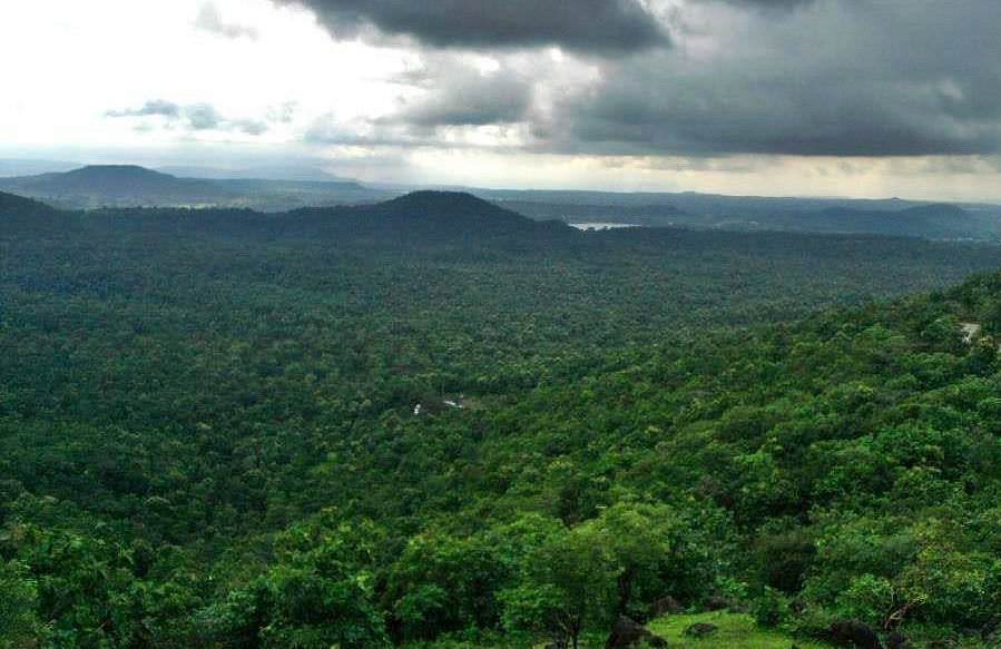 Trekking path through forests on Janapav Hills