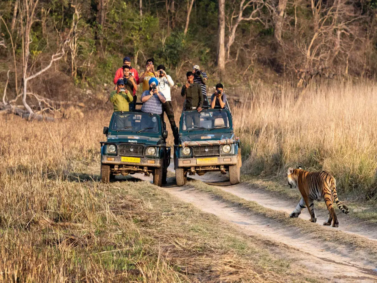 Jeep safari in Jim Corbett National Park
