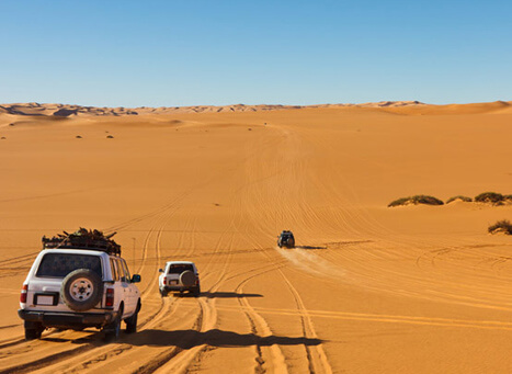 Camel safari in Thar Desert