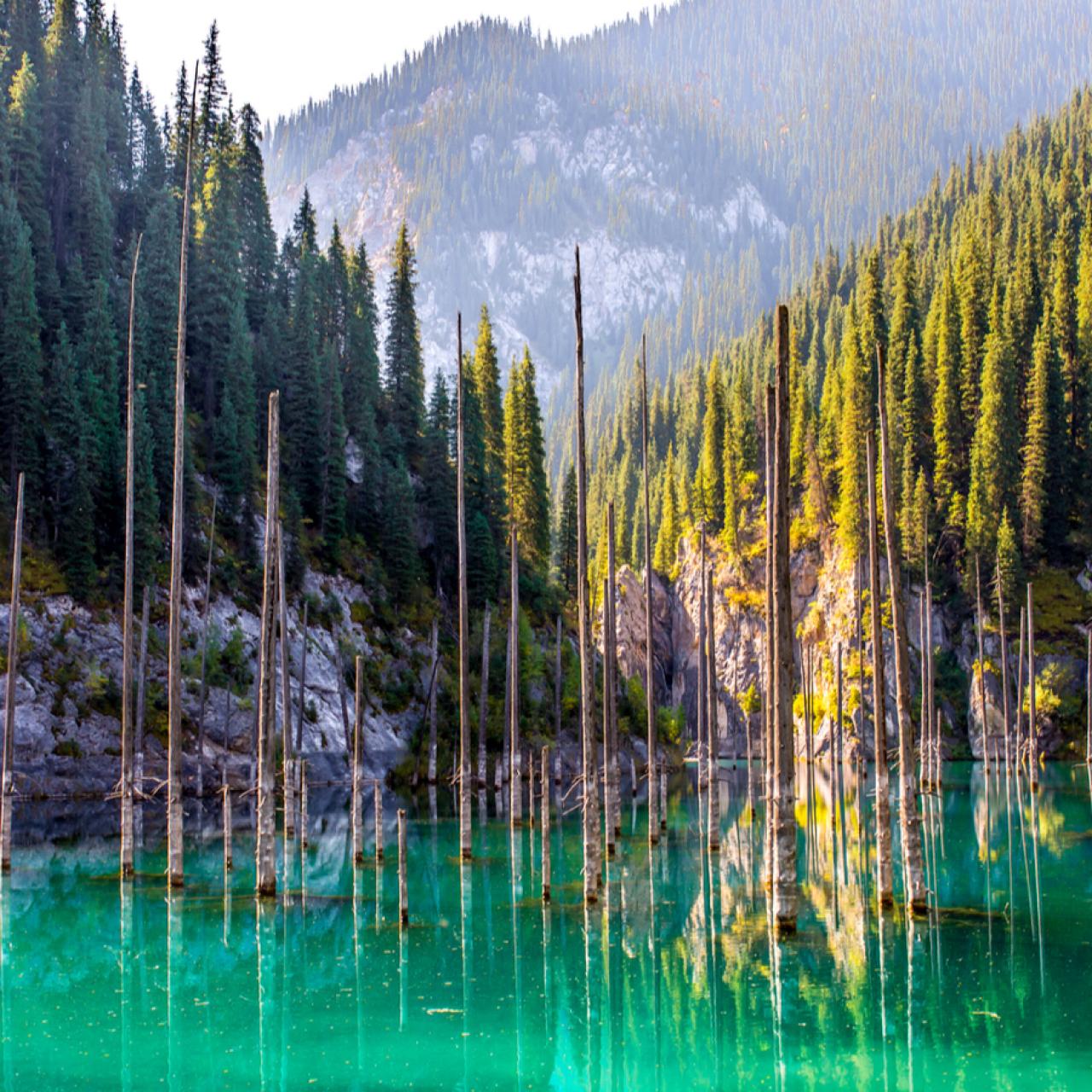 Kaindy Lake with sunken forest trunks in turquoise water