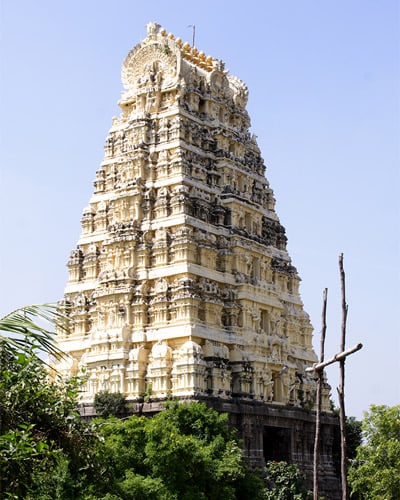 Magnificent Ekambareswarar Temple tower