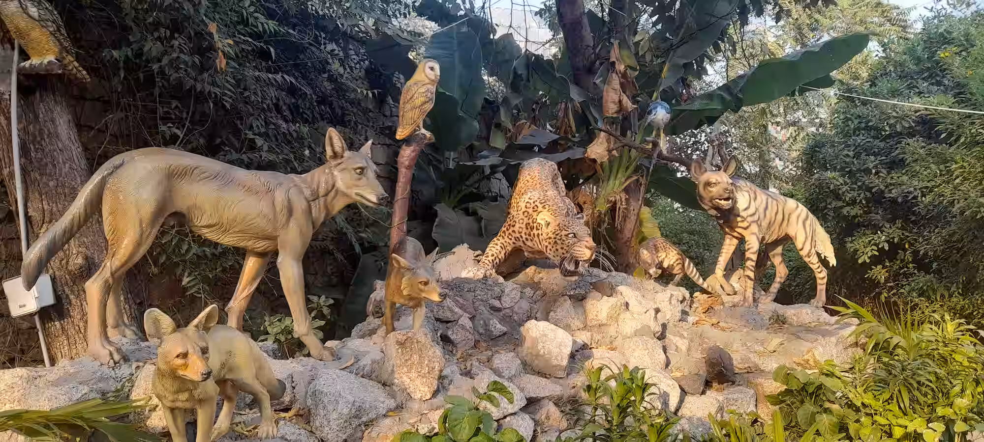 Kamla Nehru Zoo animals at Kankaria Lake