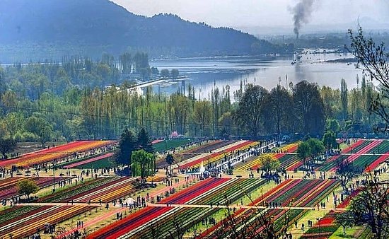 Indira Gandhi Memorial Tulip Garden aerial view