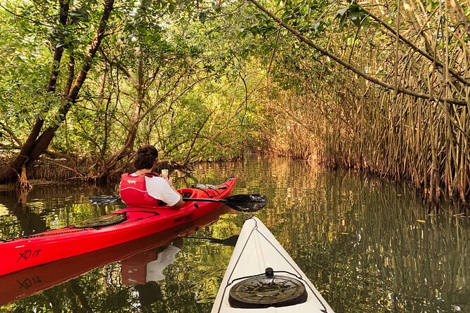 Kayaking in Kerala Backwaters