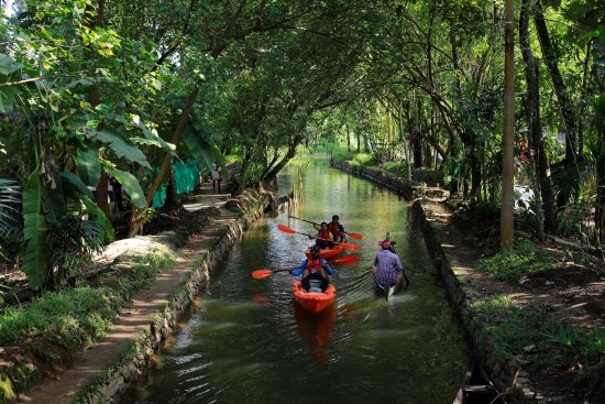 Kayaking in Kumarakom backwaters