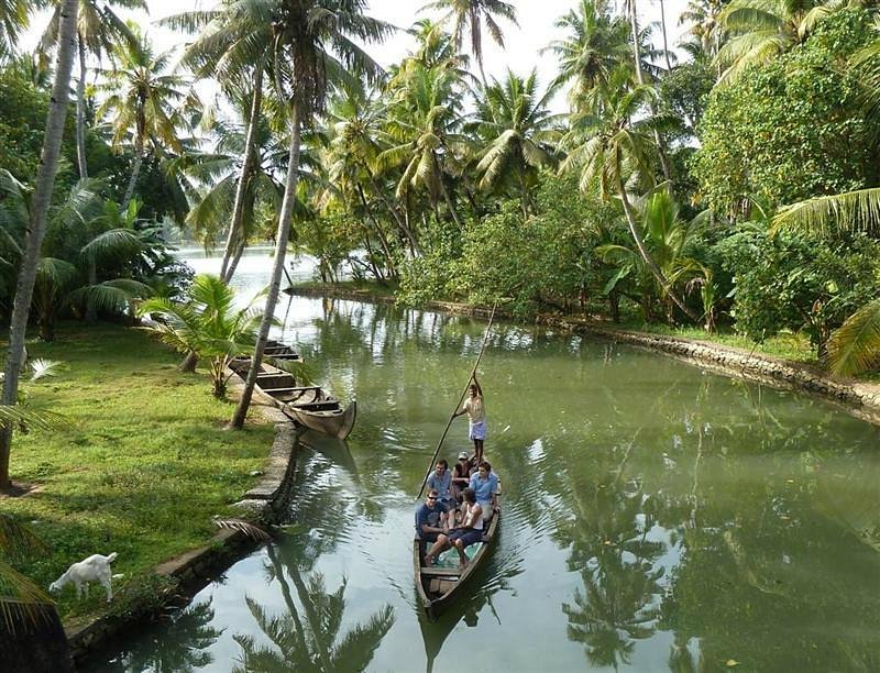 Kayaking through mangrove tunnels at Munroe Island