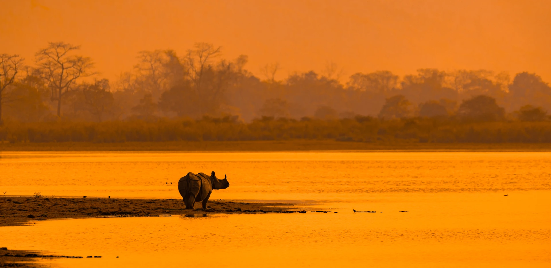 Sunset over Kaziranga grasslands