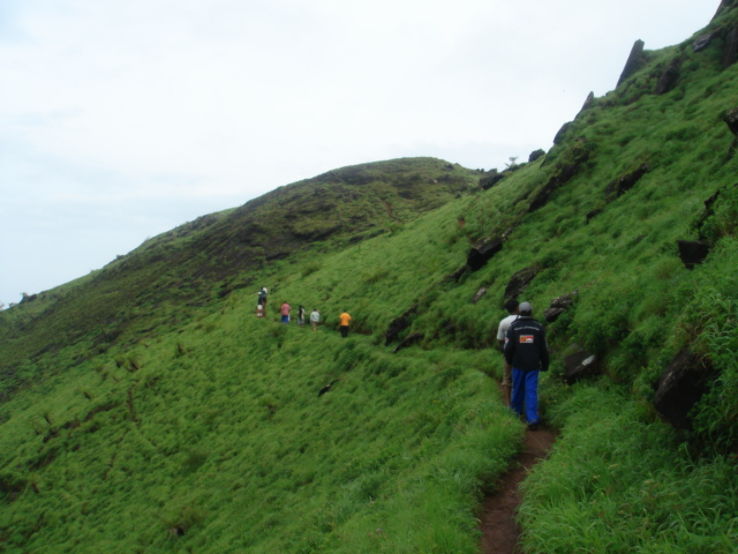 Trekking trail in Kemmangundi