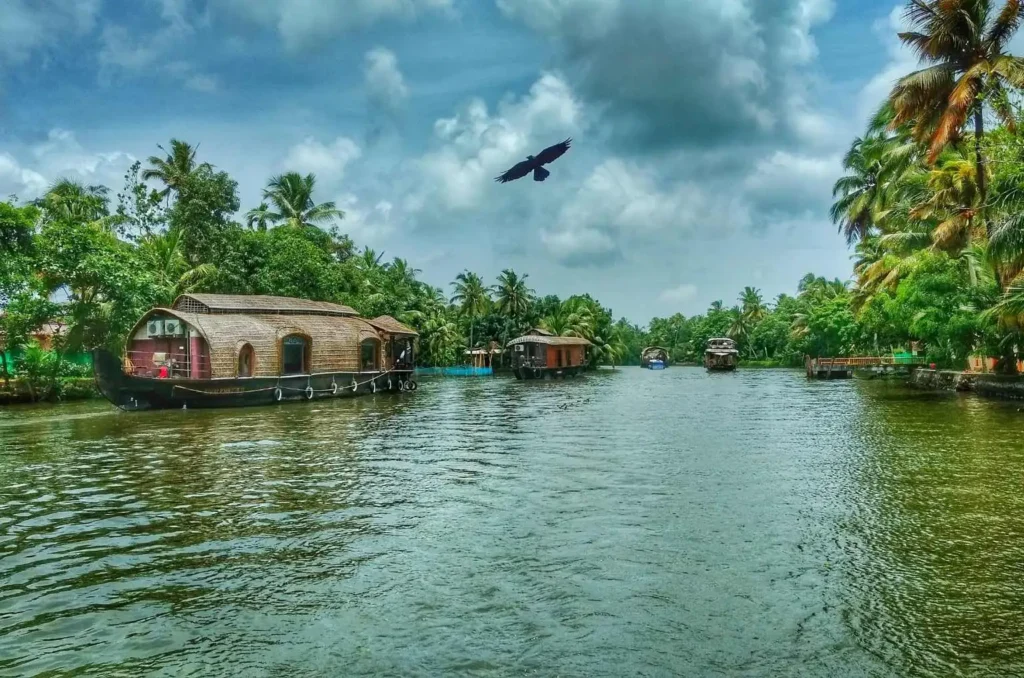 Kerala backwaters in different seasons - winter, summer and monsoon