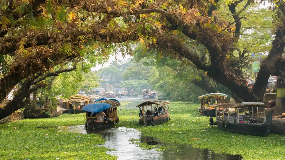 Kerala in different seasons