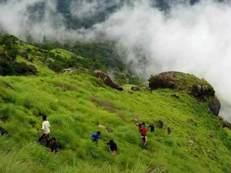 Trekking through tea plantations in Munnar Kerala