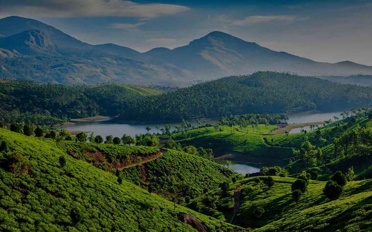 Lush monsoon landscape in Kerala during June