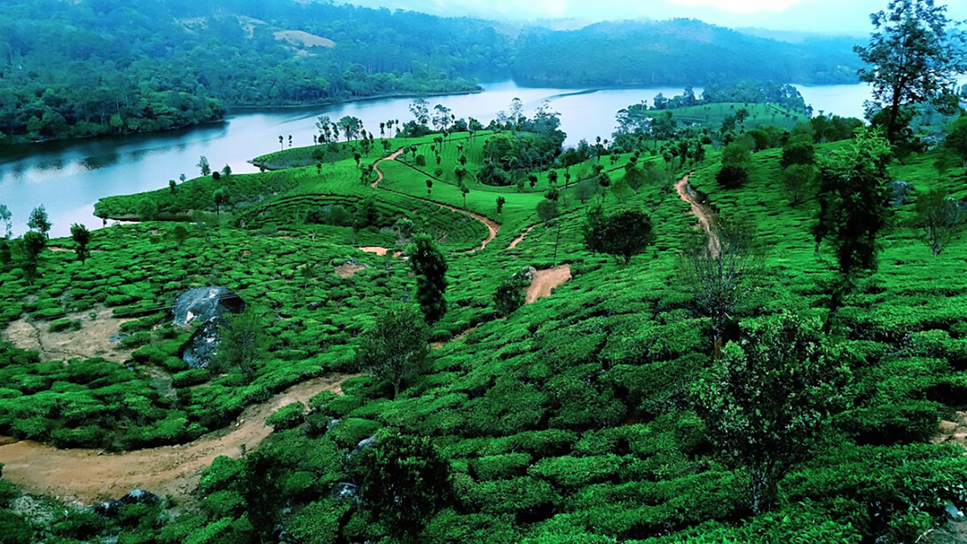 Beautiful Kerala landscape in March with lush greenery