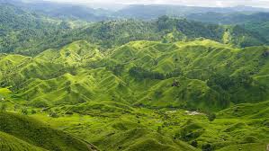 Wide valley landscape of Khasi Hills in Meghalaya