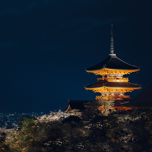 Night illumination event at Kiyomizu-dera Temple Kyoto