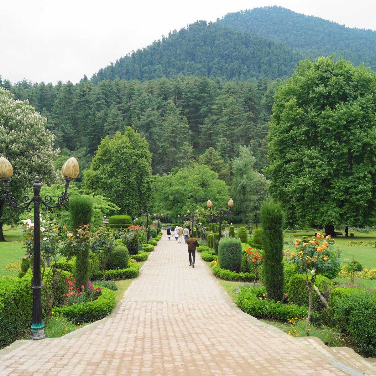 Kokernag Botanical Garden Kashmir