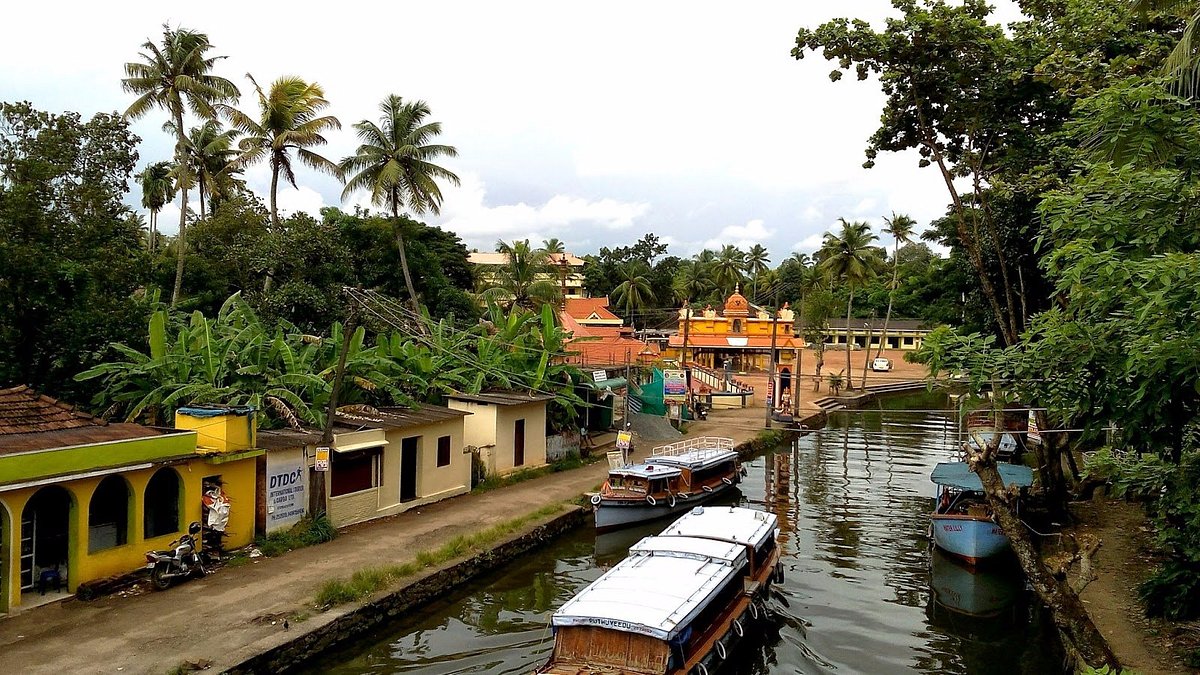 Canoe ride and birding activity in Kumarakom backwaters