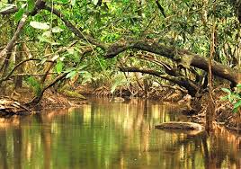 Kabini river channel flow near Kuruvadweep eco-island area