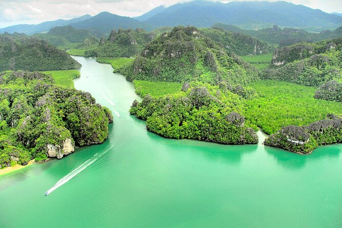 Mangrove forest in Langkawi