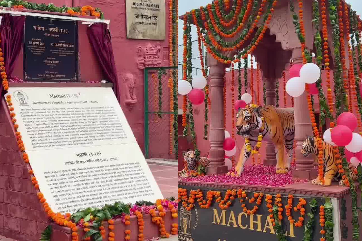 Machali memorial in Ranthambore