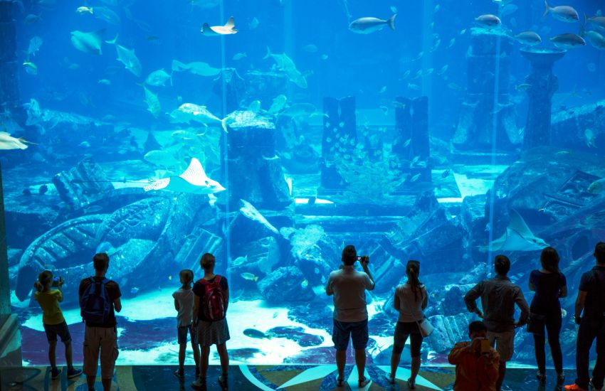 Ambassador Lagoon tank at Lost Chambers Aquarium Dubai