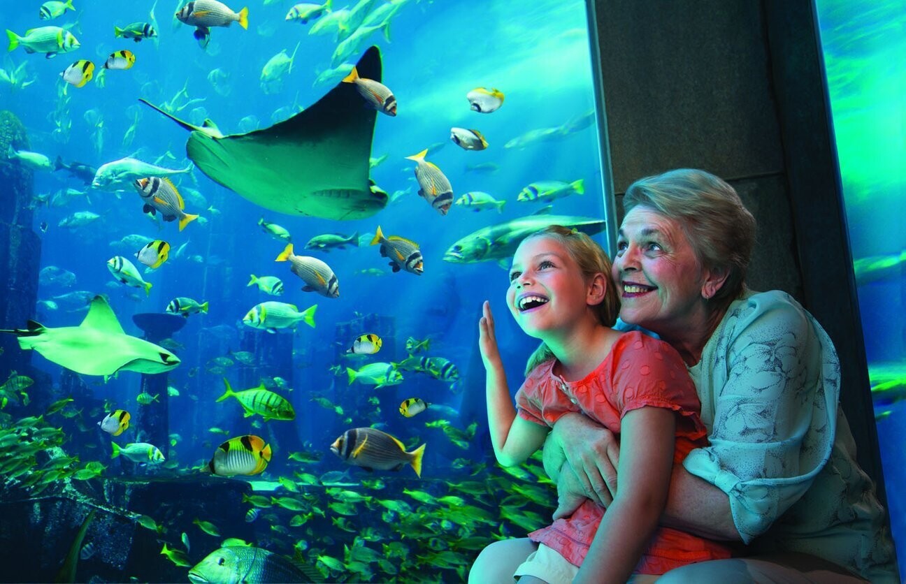 Family visit experience at Lost Chambers Aquarium Dubai