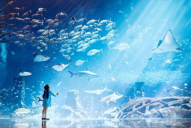 Interactive marine learning zone at Lost Chambers