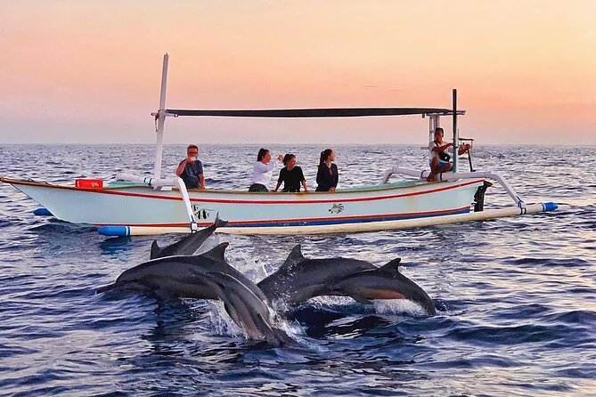 Sunrise dolphin watching boat tour from Lovina Beach
