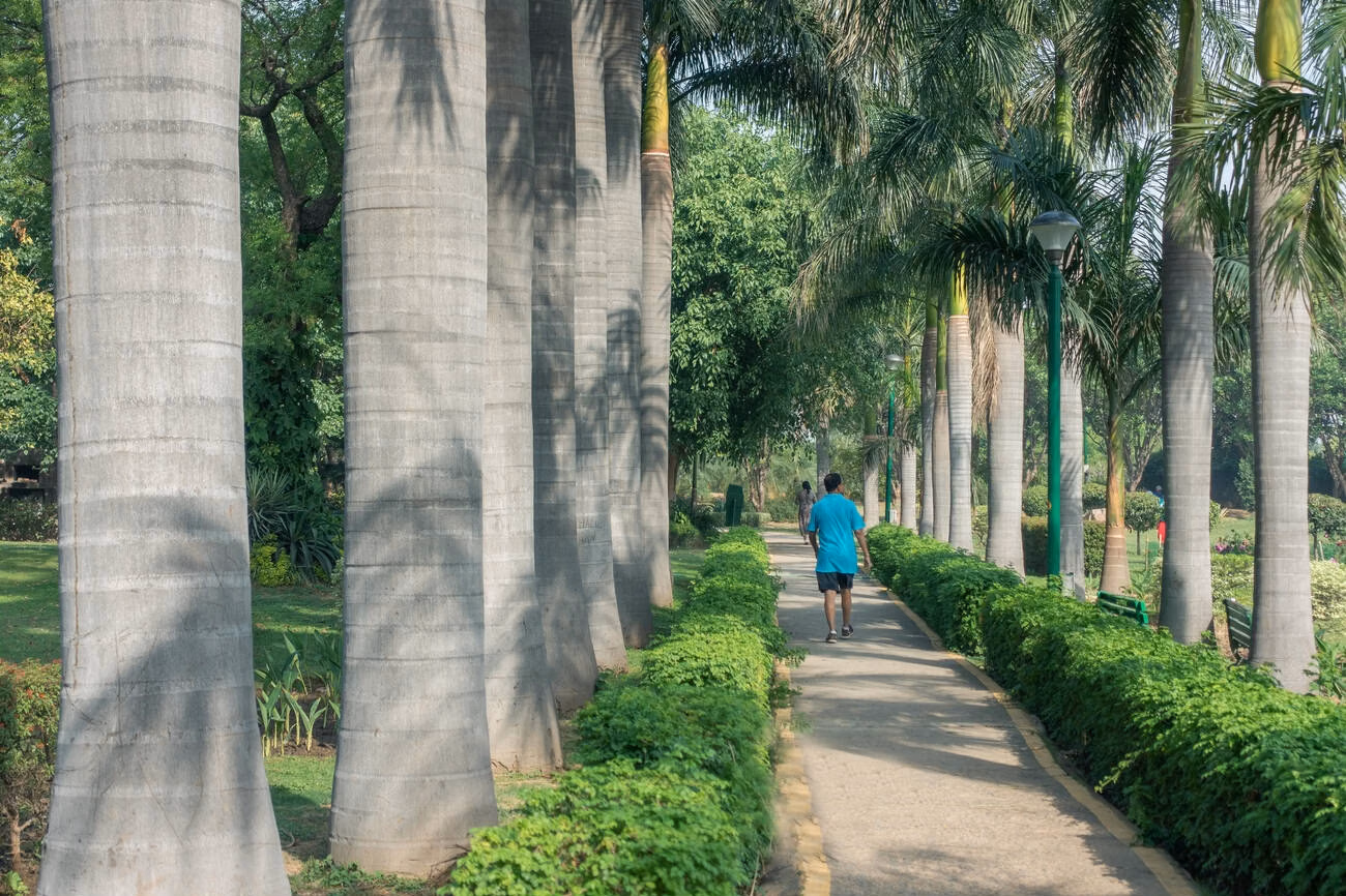 Walking paths and flower beds at Lum Nehru Park