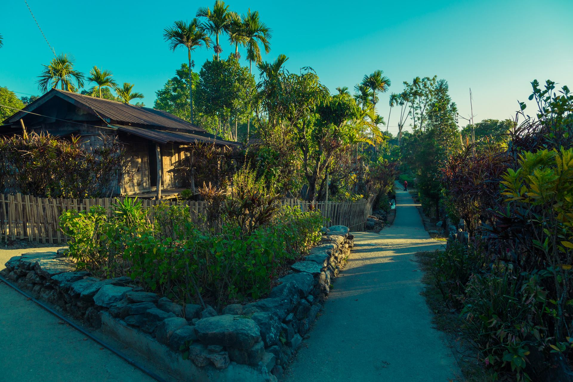 Road access and homestay experience in Mawlynnong Village