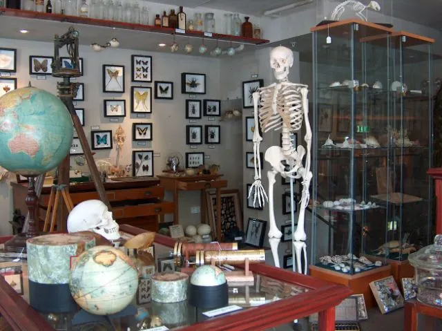 Mayong Central Museum interior displaying ancient artifacts and manuscripts