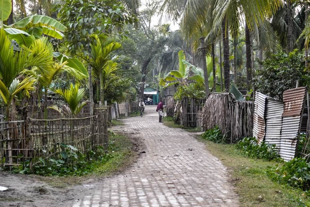 Mayong Village Assam landscape showing traditional houses along Brahmaputra River